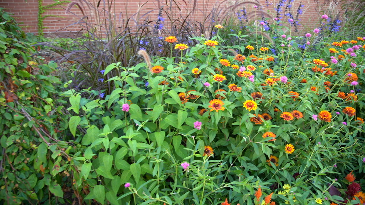 Exterior Flowers at Babcock