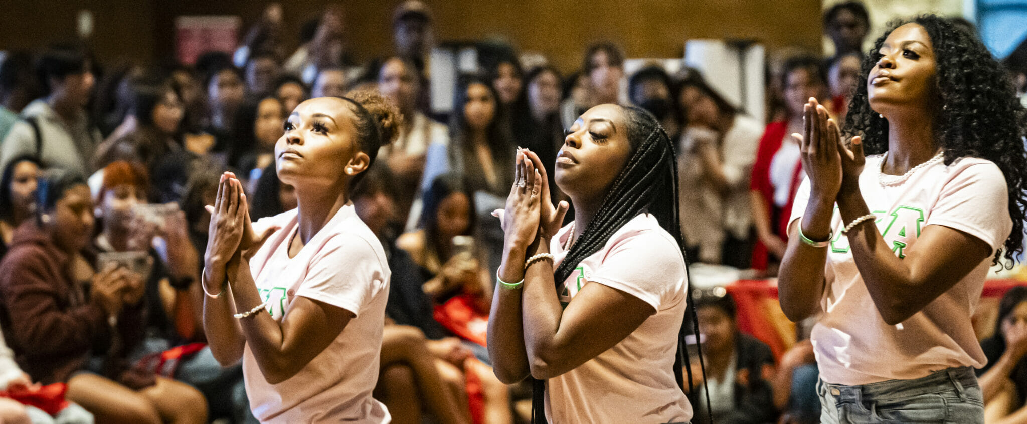 Members of the Epsilon Delta Chapter of Alpha Kappa Alpha Sorority perform before a packed house during the Multicultural Celebration of Organizations and Resources